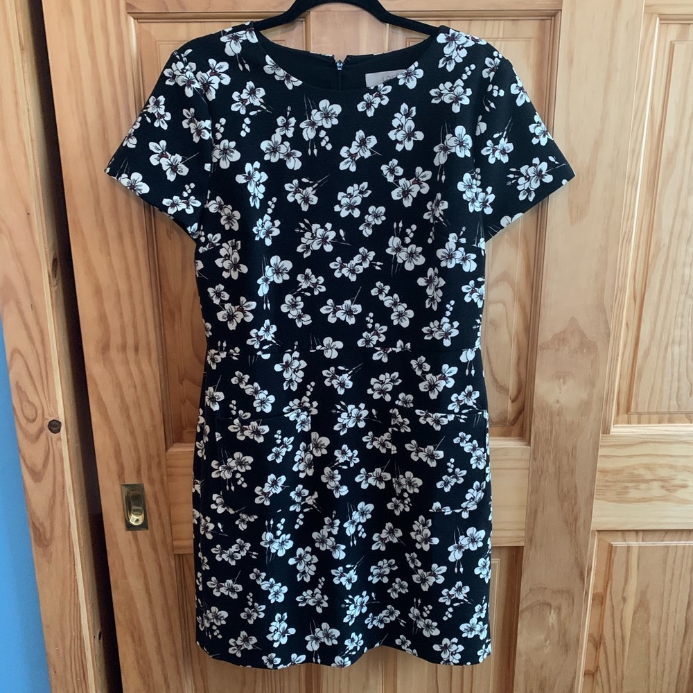 NWT LOFT DRESS